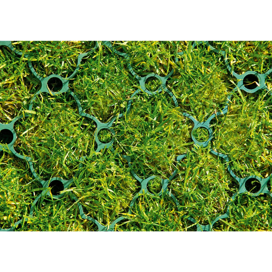 ACO Rasenwabe 586 x 386 mm grün