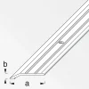 Alfer Flach-Abschlussprofil 30 x 5 mm 1m titan