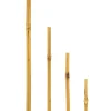 Bambusstab 60 cm