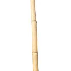 Bambusstab 60 cm
