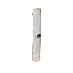 Birkensticks 20 cm Durchmesser 3-4 cm