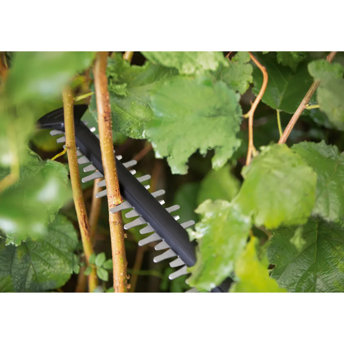 BoschAkku-Heckenschere AdvancedHedgeCut 18V-55