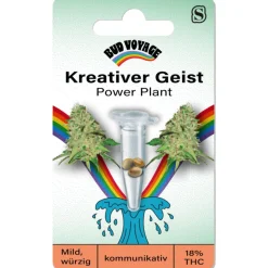 Bud Voyage Hanfsamen Kreativer Geist - Power Plant
