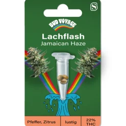 Bud Voyage Hanfsamen Lachflash - Jamaican Haze