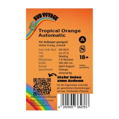Bud Voyage Hanfsamen Tropical Orange Auto