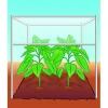 Compo BIO Tomaten- und Gemüseerde torffrei 40 L