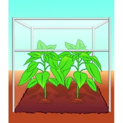 Compo BIO Tomaten- und Gemüseerde torffrei 40 L