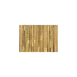 floraworld Sichtschutz Classic Bambushalbsch 3,0x1,5 m