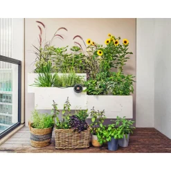 GardenaSolar-Bewässerungs-Set AquaBloom