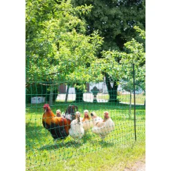 Geflügelnetz PoultryNet Doppelspitze 2500 x 106 cm dunkelgrün