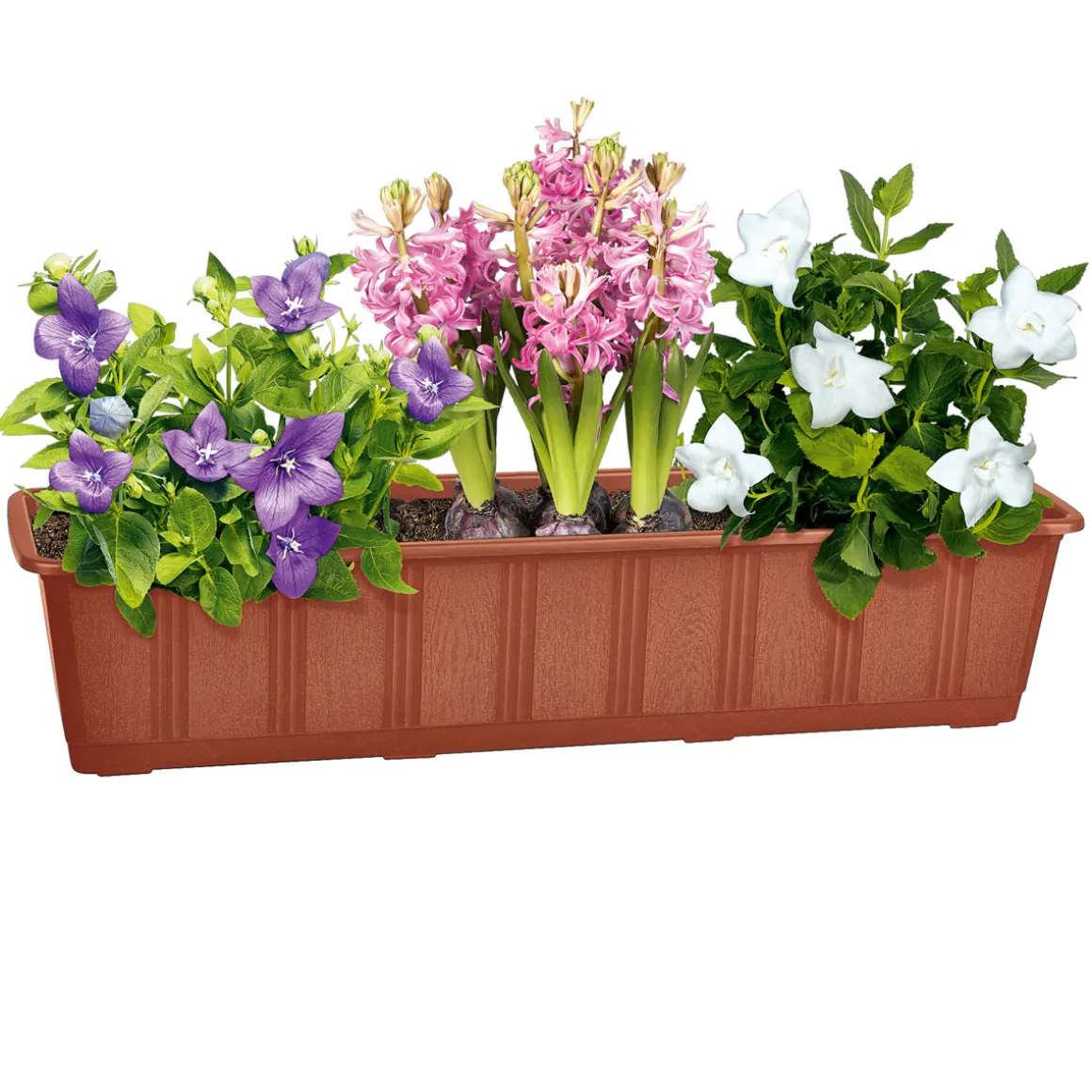 Geli Blumenkasten Aqua-Green plus braun 80 cm