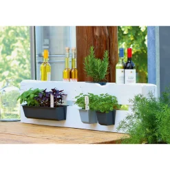 Geli Pflanzgefäß Easy 37 x 14 cm anthrazit
