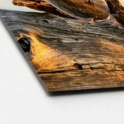 Glas-Art Drop On Wood 30 x 30 Glasbild