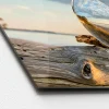 Glas-Art Drop On Wood 30 x 80 Glasbild