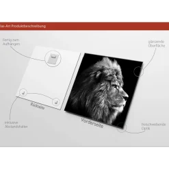 Glas-Art Grey Lion Head 20 x 20 Glasbild