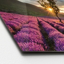 Glas-Art Silence 30 x 80 Glasbild