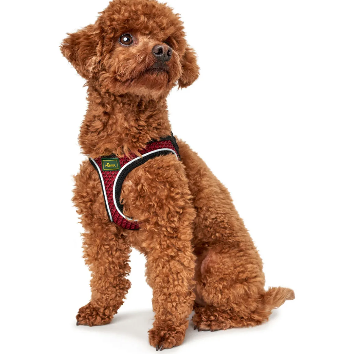 Hunter Hundegeschirr Hilo Comfort rot Größe M