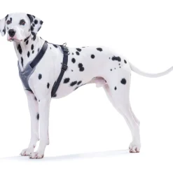 Hunter Hundegeschirr Neopren schwarz-grau Größe XS