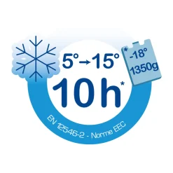 Kühlbox Promotion 15 l blau/grau