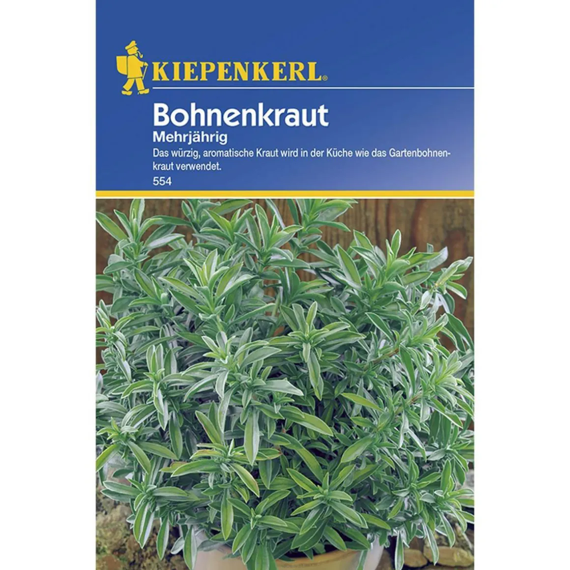 Kiepenkerl Bohnenkraut mehrjährig