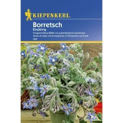 Kiepenkerl Borretsch einjährig