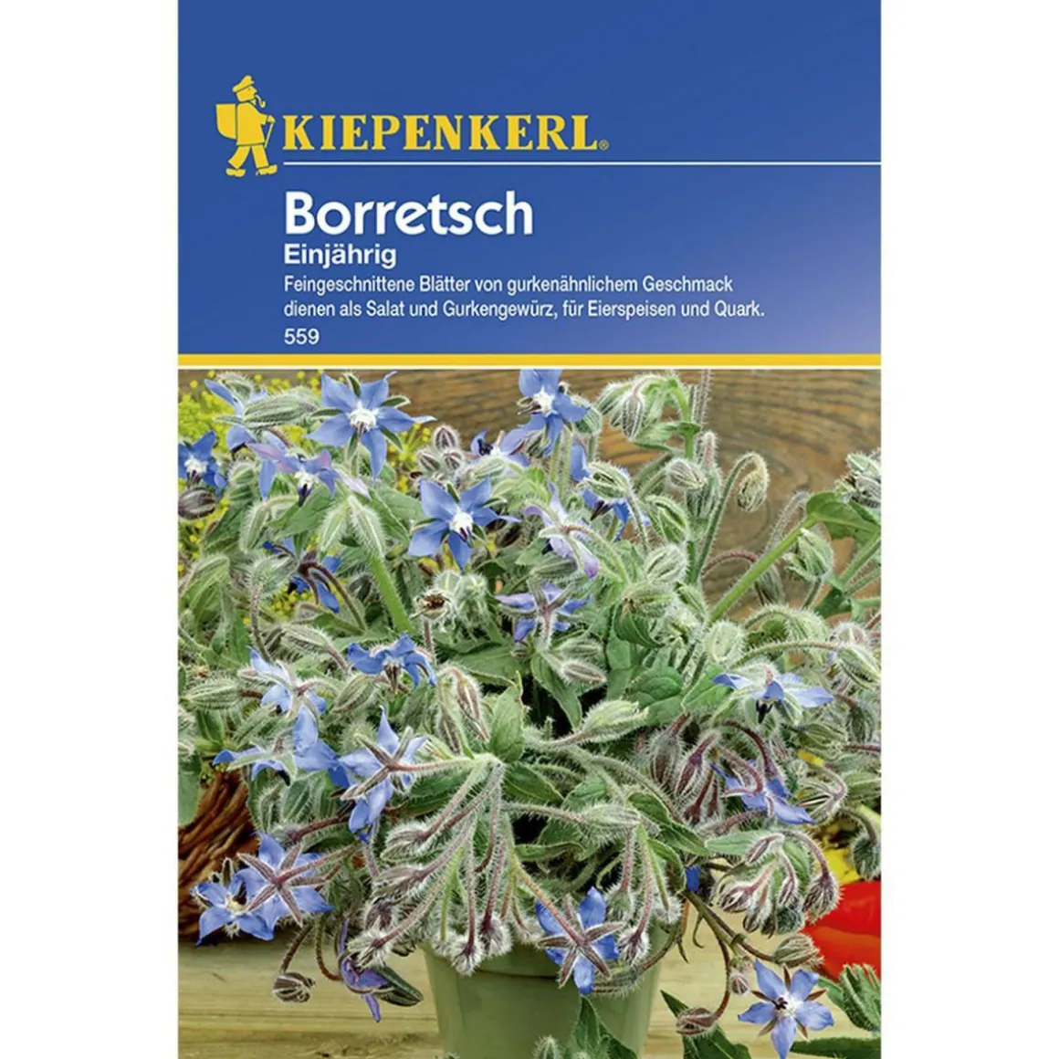Kiepenkerl Borretsch einjährig