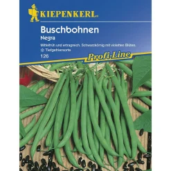 Kiepenkerl Buschbohnen Negra Profi-Line