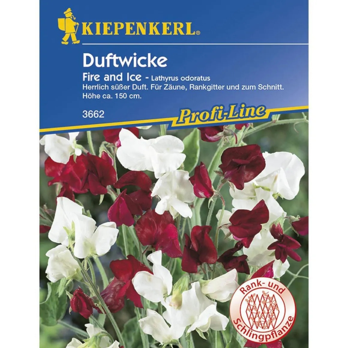 Kiepenkerl Edelwicken Fire und Ice Profi-Line