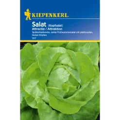 Kiepenkerl Kopfsalat Attractie