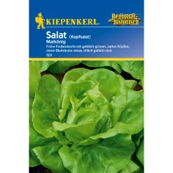 Kiepenkerl Kopfsalat Maikönig