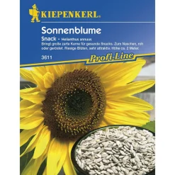 Kiepenkerl Sonnenblume Snack