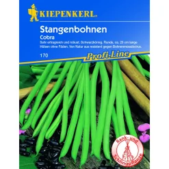 Kiepenkerl Stangenbohne Cobra