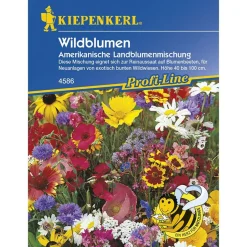 Kiepenkerl Wildblumen amerikanische Landblumenmischung Profi-Line