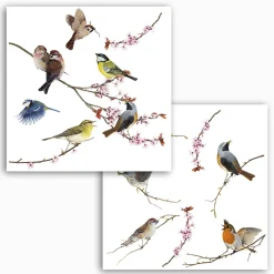 KomarFenstersticker Birds 31x31 cm