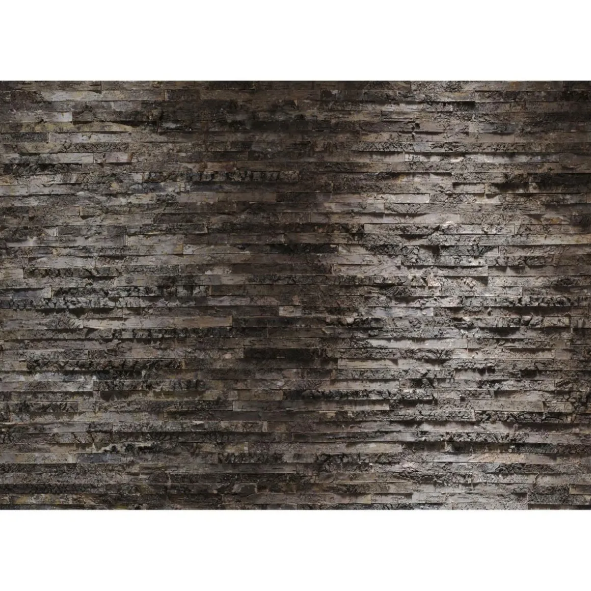 Komar Papier-Fototapete Birkenrinde 8-teilig 368 x 254 cm