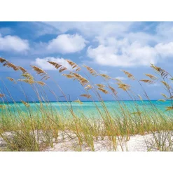 Komar Papier-Fototapete Ocean Breeze 8-teilig 368 x 254 cm