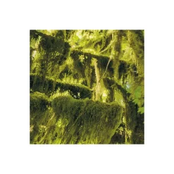 KomarVlies Fototapete Ancient World 400x250 cm