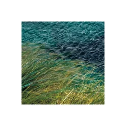 KomarVlies Fototapete Breath Taking 400x250 cm