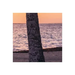 KomarVlies Fototapete Palmtrees on Beach 200x250 cm