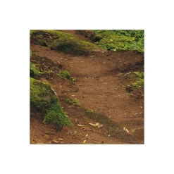 KomarVlies Fototapete The Path 200x250 cm