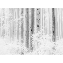 KomarVlies Fototapete Winter Wood 400x280 cm
