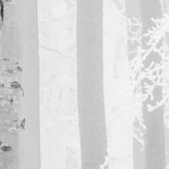 KomarVlies Fototapete Winter Wood 400x280 cm