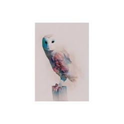 KomarWandbild Animals Forest Owl 50x70 cm
