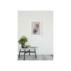KomarWandbild Animals Forest Fox 50x70 cm