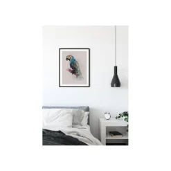 KomarWandbild Animals Paradise Parrot 50x70 cm