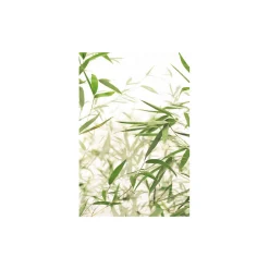 KomarWandbild Bamboo Leaves 40x50 cm