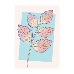 KomarWandbild Cinderella Plant 50x70 cm