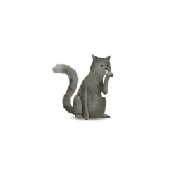 KomarWandbild Cute Animal Cat 50x70 cm