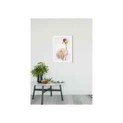 KomarWandbild Dahlia 50x70 cm