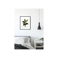 KomarWandbild Elastica Leaf 40x50 cm